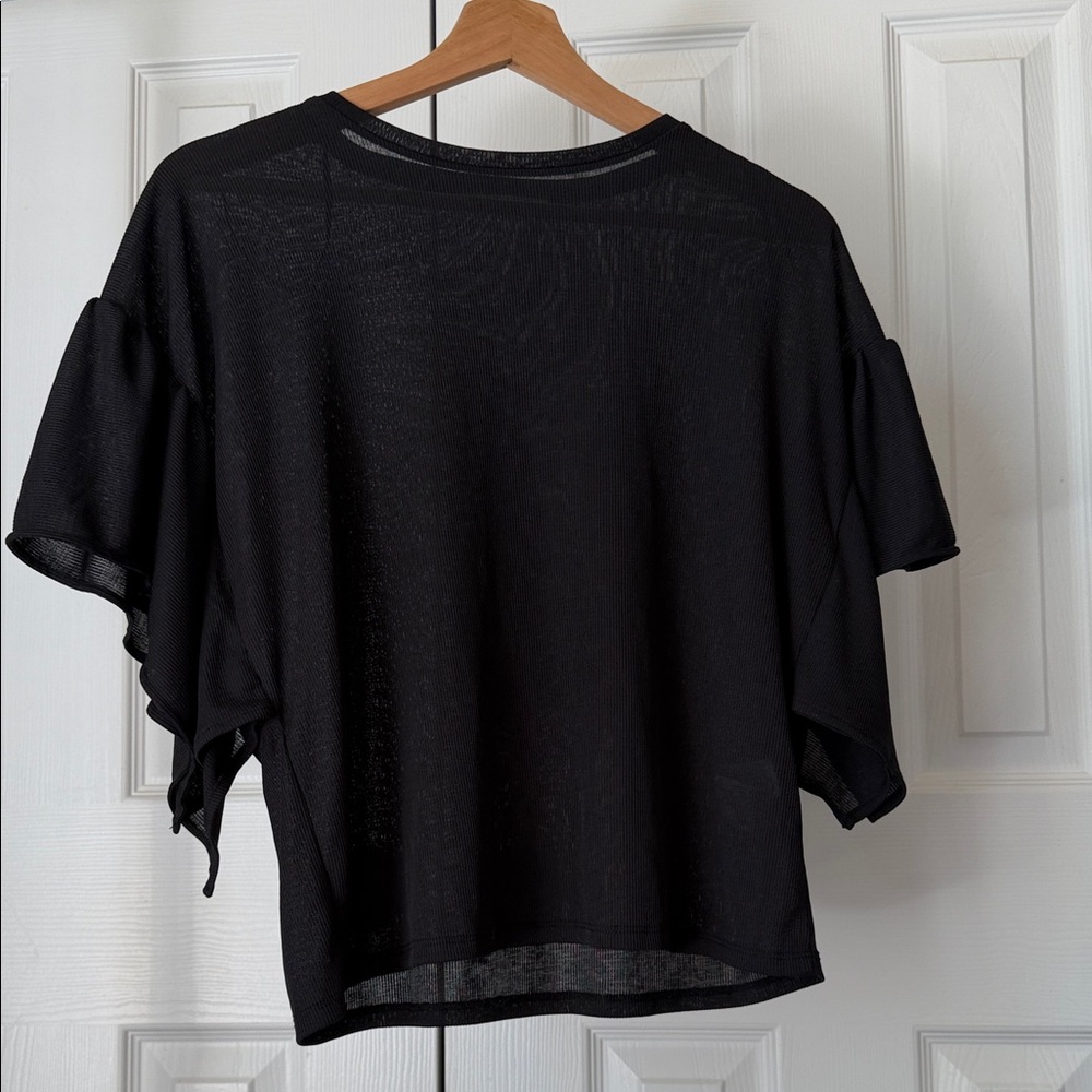 Zara Sheer Black Ruffle Sleeve Blouse